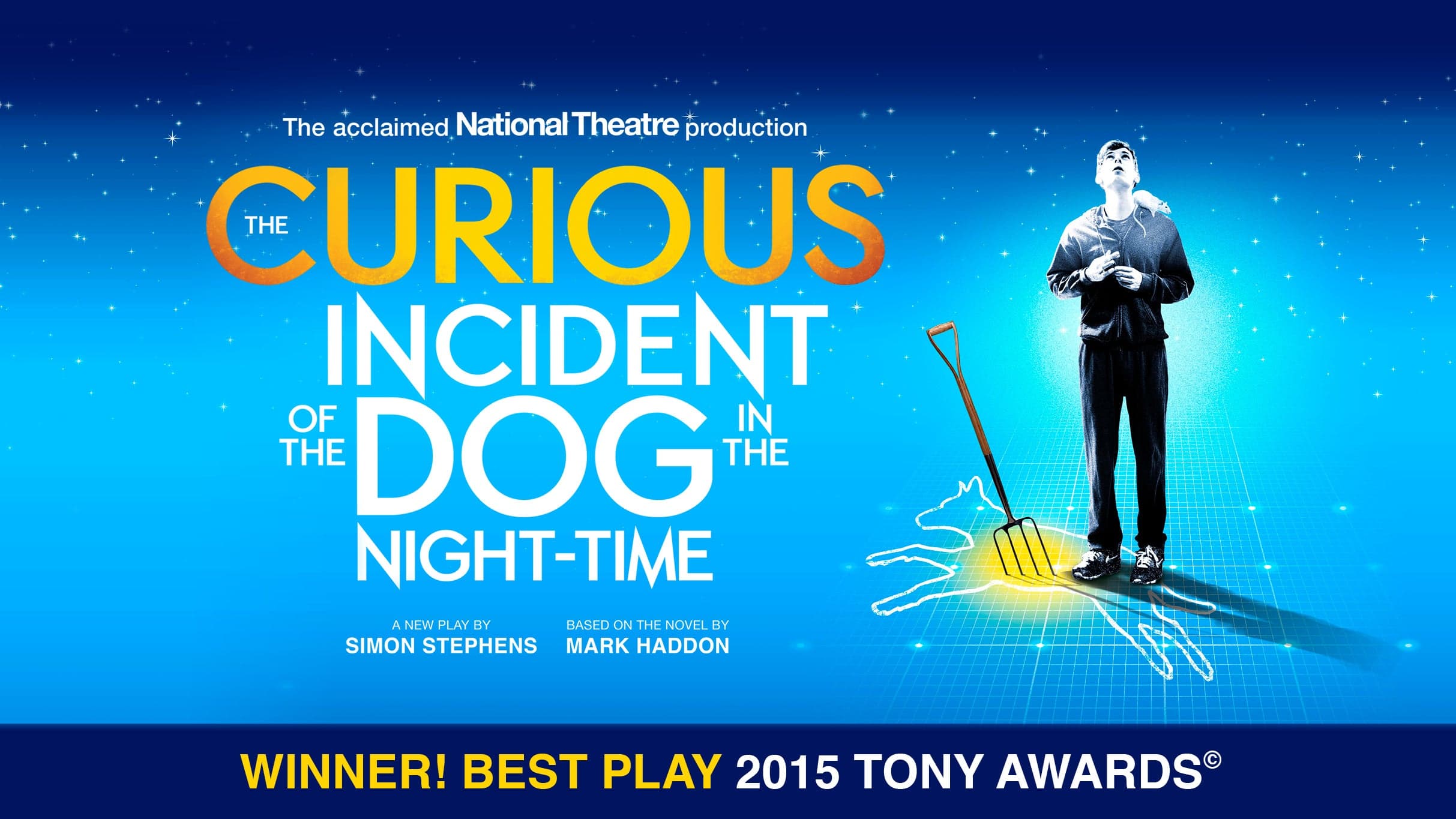 The Curious Incident of the Dog in the Night-Time